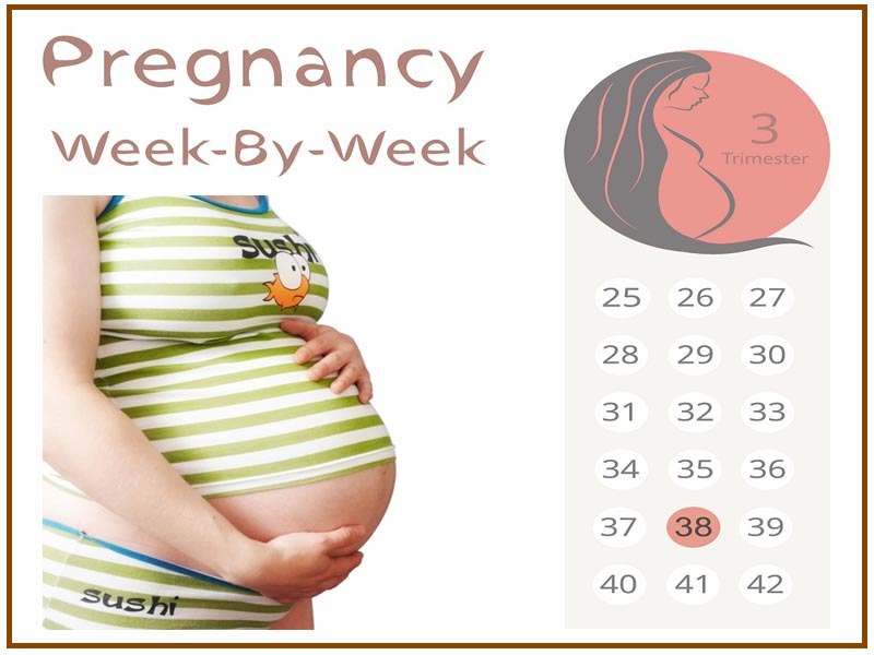 38 nėštumo savaitė
