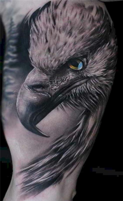Τρισδιάστατα τατουάζ άνδρας αετός άνδρες