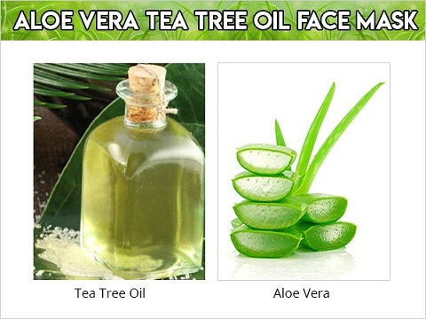 Aloe Vera ve Çay Ağacı Yağı Yüz Maskesi