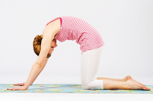 Zihin Bedeni için Marjariasana Yoga Duruşu (Kedi Duruşu)