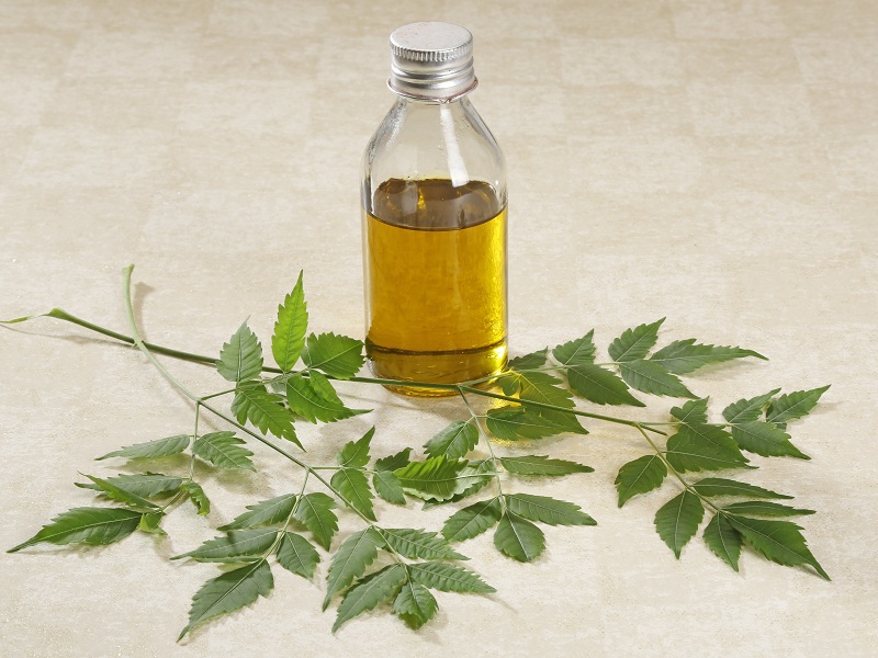 Neem aliejaus nauda plaukams