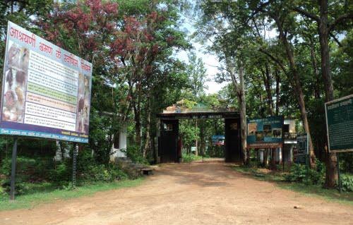 parkai-in-bihar-hazaribagh-laukinės gamtos šventovė