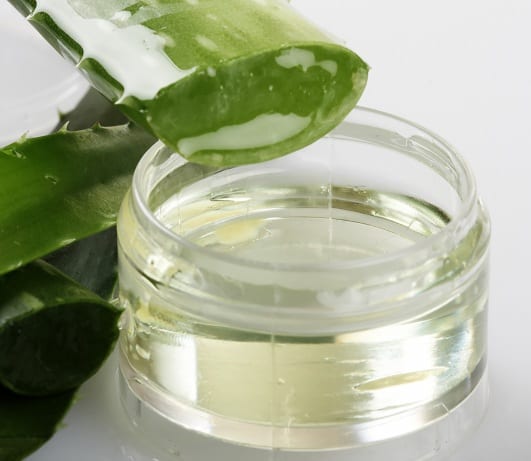 Aloe Vera sausai odai žiemą