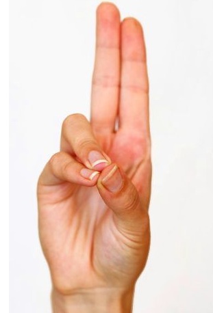 Pranas Mudra