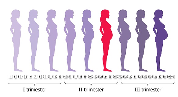 6 nėštumo mėnesio dieta