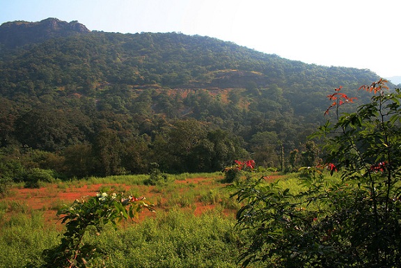 Mollemo nacionalinis parkas Goa