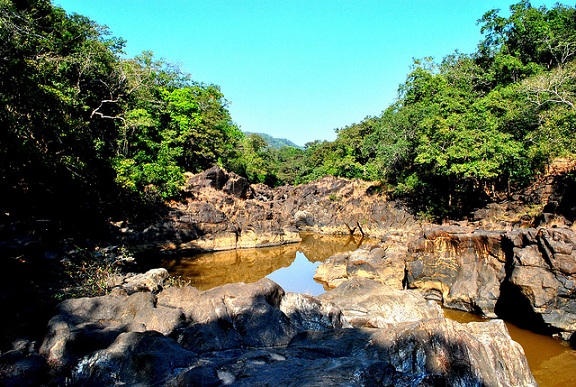 Netravali laukinės gamtos draustinio parkas Goa