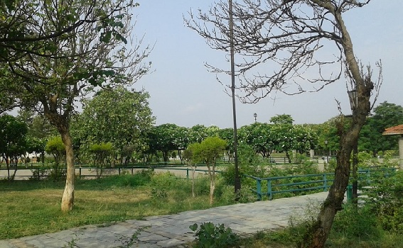 parklar-in-lucknow-jyotiba-phule-bölgesel-park