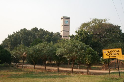 parklar-in-ludhiana-pau-botanik-bahçesi