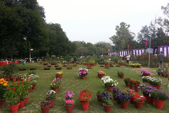 ludhiana'daki parklar
