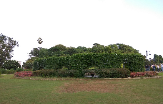 mumbai'deki parklar-joseph-baptista-bahçeleri