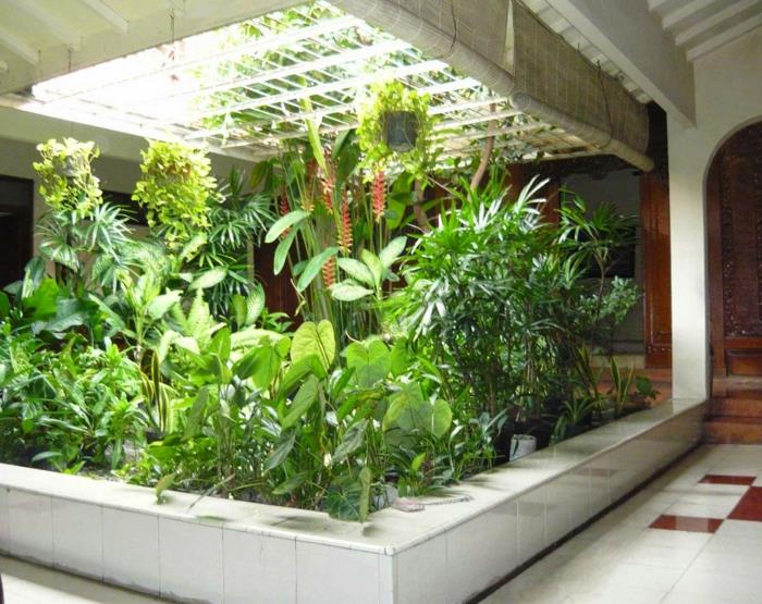επίπλωση διαμερισμάτων δαπέδου εσωτερική διακόσμηση πηγή οξυγόνου σπίτι χειμερινός κήπος