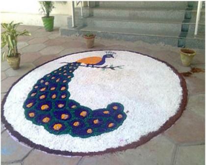 Tavuskuşu Rangoli Tasarımları