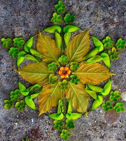 Yaprak Rangoli Tasarımları