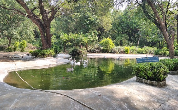 parks-in-Ahmedabad-Indroda-nature-park