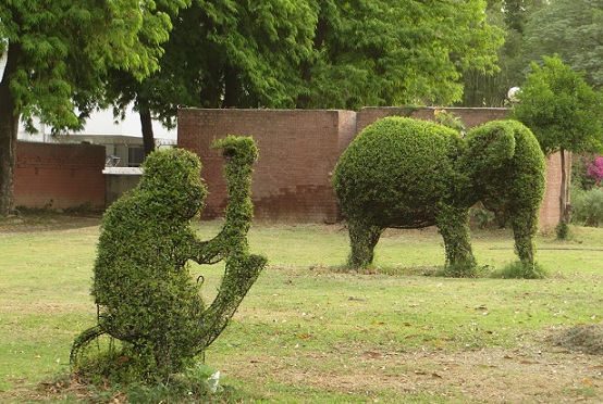 parklar-in-chandigarh-topiary-park