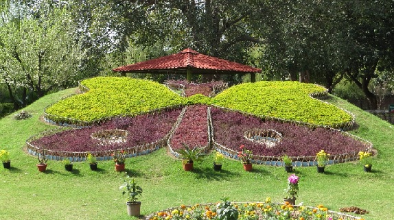 parkai-in-chandigarh-drugelių parkas