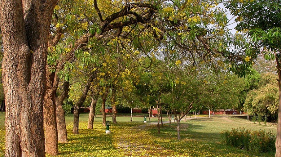 parks-in-chandigarh-fitness-trail-park