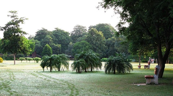 chandigarh'daki parklar