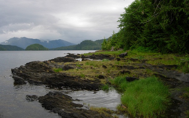 Garsios miško stovyklavietės-Tongaso nacionalinis miškas, Aliaska