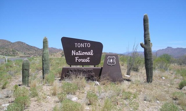 Garsios miško stovyklavietės-Tonto nacionalinis miškas, Arizona