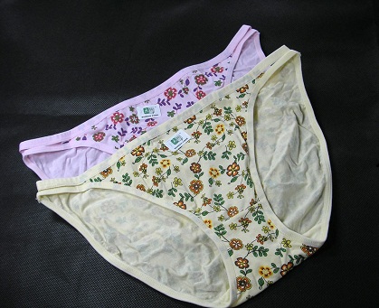 Styginės bikinio kelnaitės