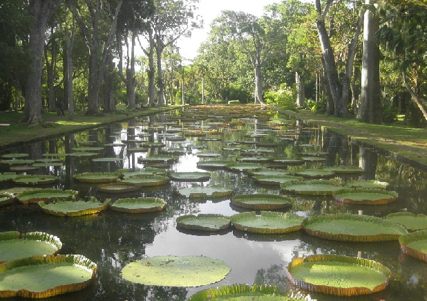 mauritius'un turistik yerleri