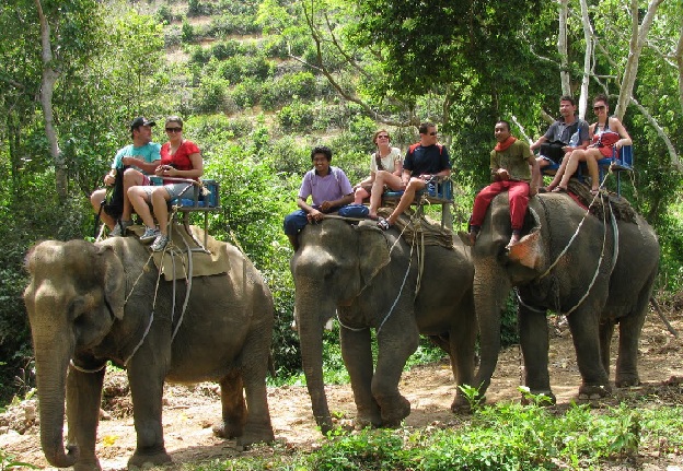 siam-safari_phuket-turist-yerler