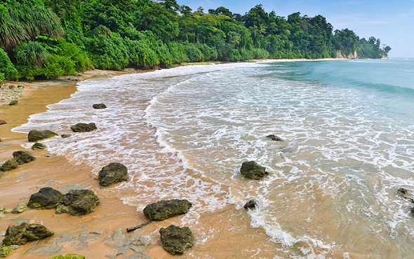 Andaman-Neil Island Beach sınırlarındaki Plajlar