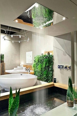 Natūralūs vonios kambariai