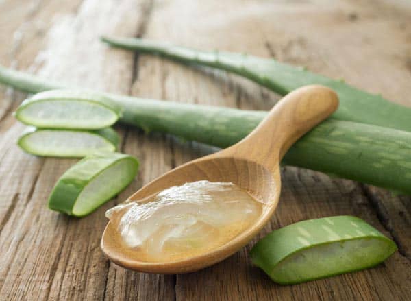 cilt parlaması için aloe vera