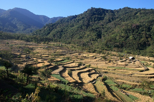 Medaus mėnesio vietos Nagaland-Khonoma Green Village