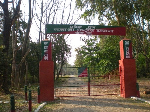 Rajaji Ulusal Parkı