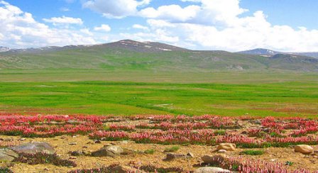 Kishtwar Ulusal Parkı