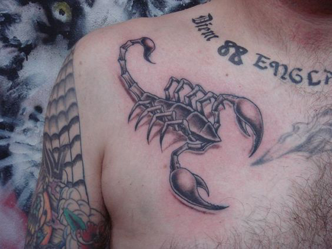Geriausi Skorpiono tatuiruočių modeliai ir reikšmės 8