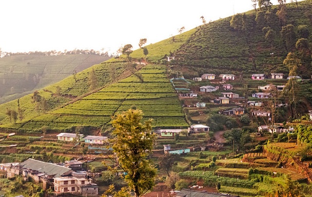 nuwara eliya gražios lankytinos vietos Šri Lankoje