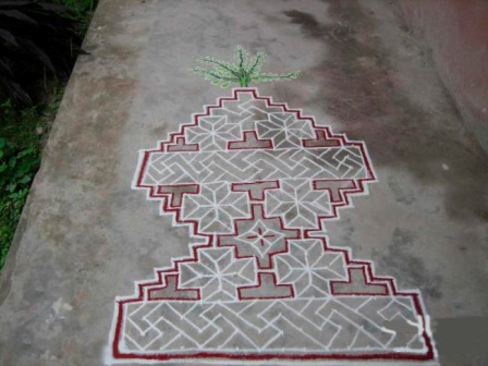 Tulsi Bitki Rangoli