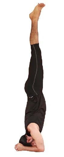 Shirshasana / galvos stovas