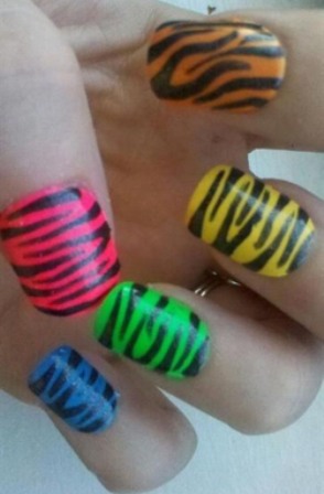 „Neon Zebra“ nagai