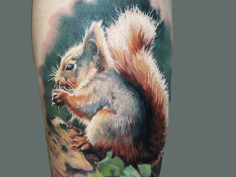 Voverės tatuiruotės dizainas, idėjos ir prasmė