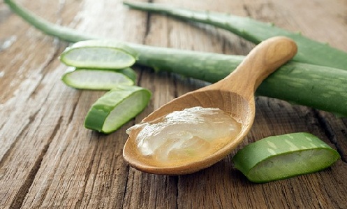 Aloe Vera Alında Saç Büyümek