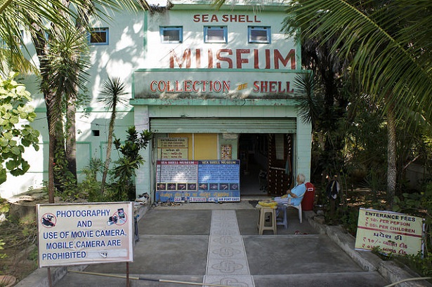 shell-museum_diu-turist-yerler