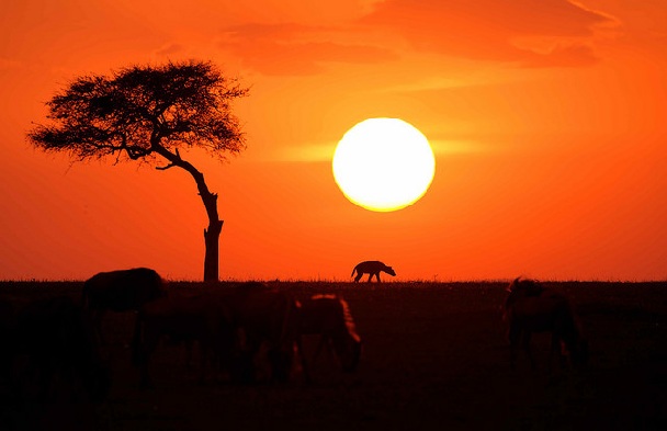 masai-mara-sunset_kenya-turist-yerler