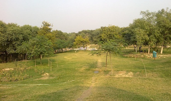 parkai-in-agra-taj-gamtos parkas