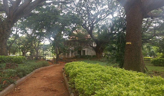 parks-in-bangalore-m-n-Krišna-rao-park