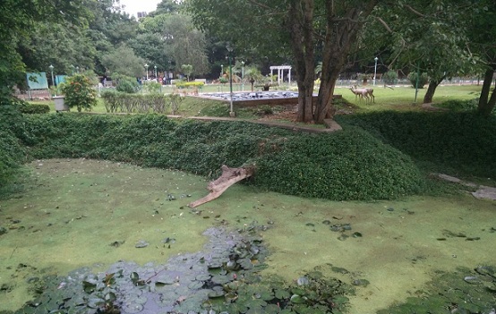 parks-in-bangalore-jayamahal-parkas