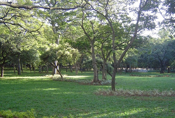 bangalore'deki parklar