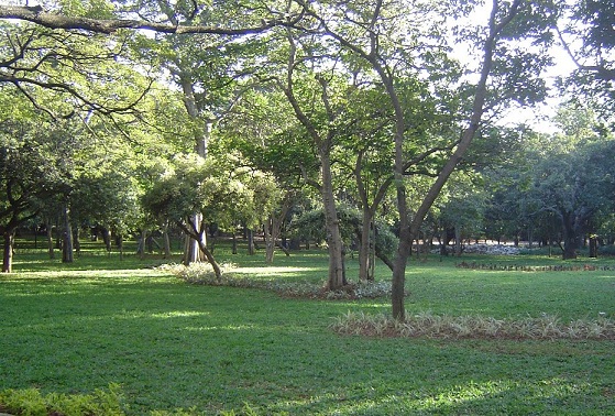 parkai Bangalore