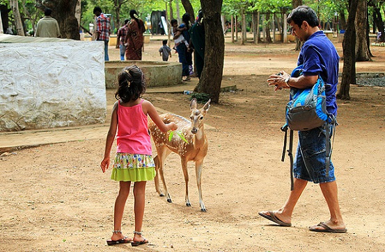 parkai Chennai