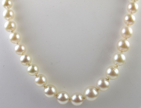 Kultivuotas perlų karoliai